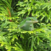 Randy McRoberts (@ranmc5) 's Twitter Profile Photo