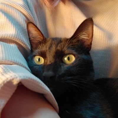 chi131560e's profile picture. 👾