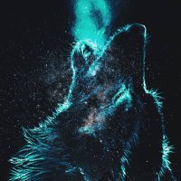 QoR Killhungry (@killhungryy) 's Twitter Profile
