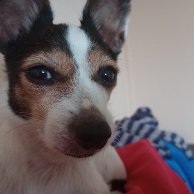 DanyaUA Profile