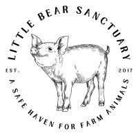 Little Bear Sanctuary(@LittleBear_Org) 's Twitter Profile Photo