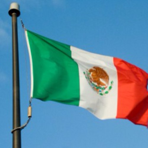 m3xic4npr0bl3ms's profile picture. 