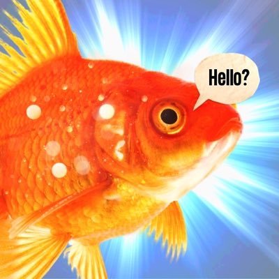 Citrusgoldfish Profile Picture