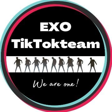 WE ARE ONE, EXO (엑소) |  — Not so active for now
@EXOtiktokvideo