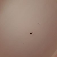 كابتن حسين البرنس (@kbatyna) 's Twitter Profile