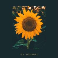 the sun, motivated by fear & discomfort😔🌻(@sunflower_kaak) 's Twitter Profile Photo