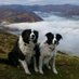 CumbrianStu (@from_the_rock_) Twitter profile photo CumbrianStu (@from_the_rock_) Twitter profile photo