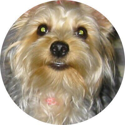 @mikaerimimoza 🌸@mikaerimimochan🌻 🎶🎶🎶🎶🎶🎶 💕 今日も活かされて、幸せに生きています⛪🎶 😊