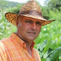 Giraldo Jesús Martin Martin (@giraldomartinih) 's Twitter Profile