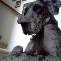 Jeff Snow (@_snowonthego_) 's Twitter Profile