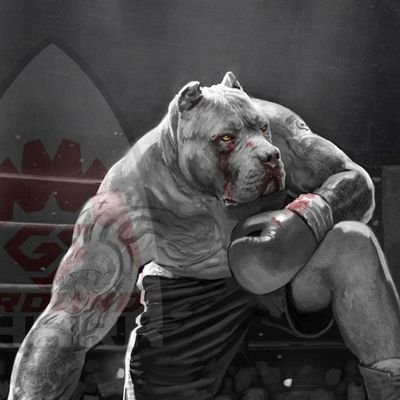 JogenTzu's profile picture. 