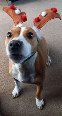 wez1967's profile picture. 