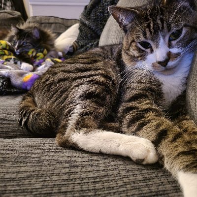 WillSmith_89's profile picture. 