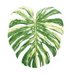 Melon (@amrevveejnas) Twitter profile photo Melon (@amrevveejnas) Twitter profile photo