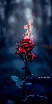 Fabrice845's profile picture. 