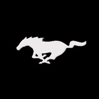 Loretto Mustangs Football (@lorettofootball) 's Twitter Profile