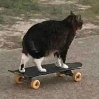 Funkyboy (@roydenperry) 's Twitter Profile