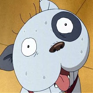 かめさんのプロフィール画像