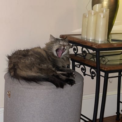 tighe_gerri's profile picture. 