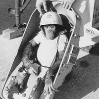 Ham The Astrochimp (@astro_ham) 's Twitter Profile