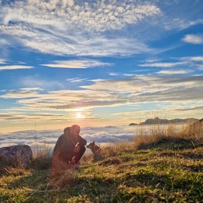 AlexWild79's profile picture. Wild heart. Grounded soul.
🧠 Creator | Seeker | Protector
Building with faith, code & purpose.

#OG11 #Crypto #AI #Mountains #Soul