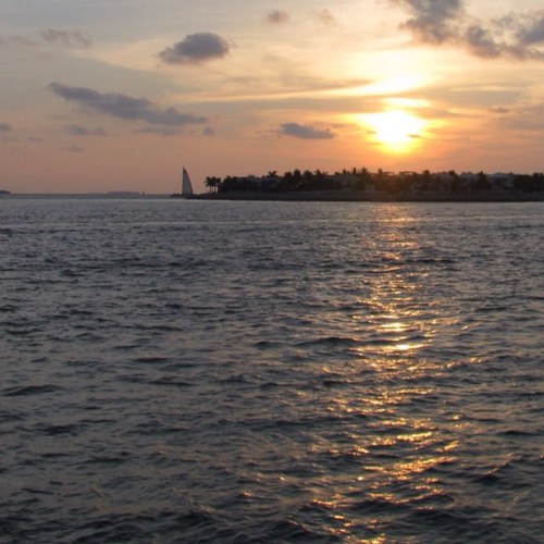 mthomp814's profile picture. 