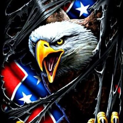 USAF Veteran, Recovered Addict, Father, Grandfather, MAGA supporter, WV Mountaineer, The Constitution is sacrosanct Brandon. I don't accept DM's and will block