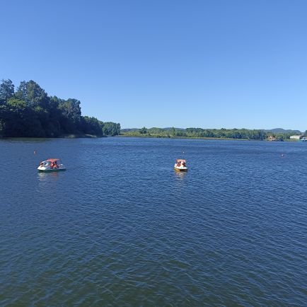 mania___4's profile picture. 