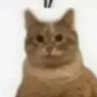 wibowabo (@tsukuni2) 's Twitter Profile