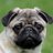 pugkamo