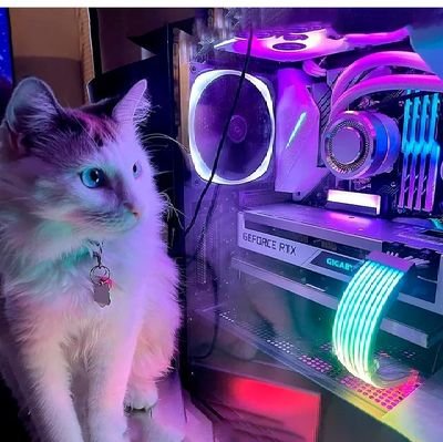 JaaanSaahiv's profile picture. Intzaaarrrr