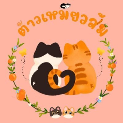 ต้าวเหมียวส้ม🧡ft.FKT