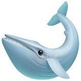 awhale__ Profile Picture