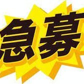 スカウト募集専用アカウント/出会いも豊富/副業で月収100万稼げる(@casinojackp) 's Twitter Profileg