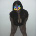 lucy (@lucy6941641141) Twitter profile photo lucy (@lucy6941641141) Twitter profile photo