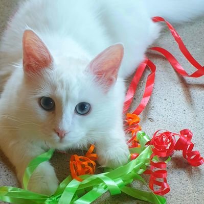 fritzoun76's profile picture. 