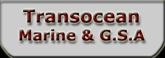 Transmgsa's profile picture. Transocean Marine & General Survey Agencies is Marine Cargo, Marine Hull and Machinery (H&M) and Fire Insurance surveys related / surveying firm.