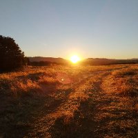 Cámbium (@cambiumav) 's Twitter Profile