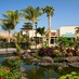 Queens' MarketPlace (@qmpwaikoloa) Twitter profile photo Queens' MarketPlace (@qmpwaikoloa) Twitter profile photo