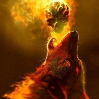 Achak (@wolfachak) 's Twitter Profile