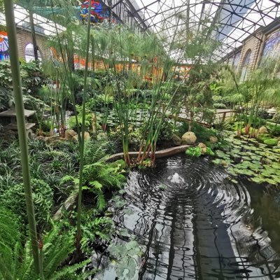 LujuPervert's profile picture. Soy extremadamente 🔥 siempre quiero! Lujurioso y pervertido !! Leal cuando estoy con alguien ! Caballero a fuera de mi casa, perverso dentro de mi casa!