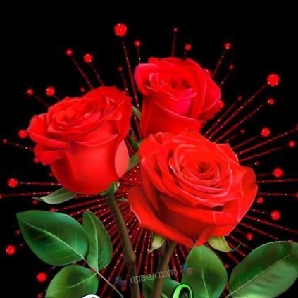 Sanjay28252506's profile picture. *(Master of Science,LL.B.)