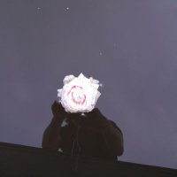 Alex Mason (@realalexrgmason) 's Twitter Profile