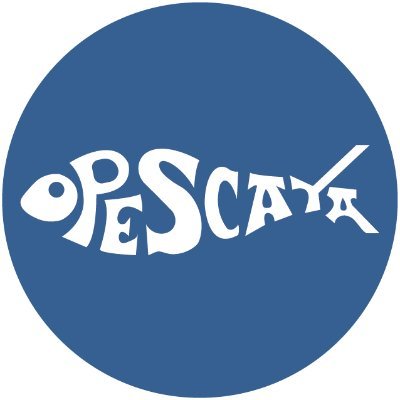 OPESCAYA es la Organización de Productores de Pesca de Bajura de Bizkaia y fue constituida en el año 1986.