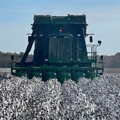 Christian/Phillips Ag Services,LLC/Idependent Crop Consultant/MSSTATE Alumni/HAIL STATE/Tweets are my own opinions and do not reflect Anyone or Any Company