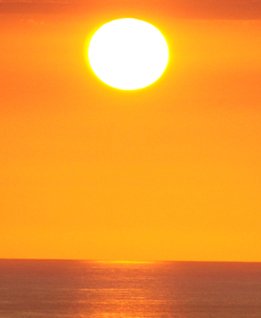 relocatetomaui's profile picture. Maui Condos