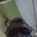 Gourishanker. Nagamalla Shankeraiah. Nagamalla. (@gourishankern10) Twitter profile photo Gourishanker. Nagamalla Shankeraiah. Nagamalla. (@gourishankern10) Twitter profile photo