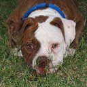 gilbert davila - @davilabros - Twitter