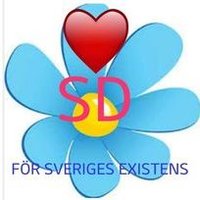 SDSTEFFE (@mrsdsteffe) 's Twitter Profile