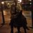 bobbybigwheelin's profile image